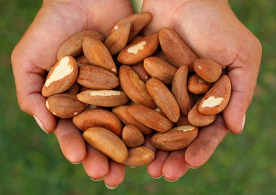  Brazil nuts