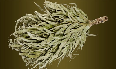  Bath broom from eucalyptus branches