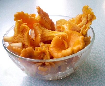  Chanterelle mushrooms are used as a dietary product.