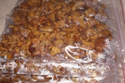  Chanterelle mushrooms freezing