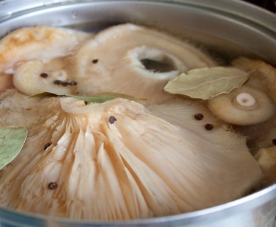  Marinating the fungus mushrooms