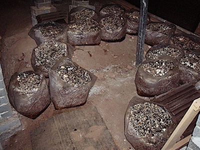  Substrate bags for champignons