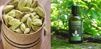  Cardamom Essential Oil