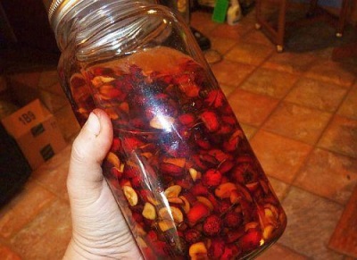  Infusion from the shell of pine nuts