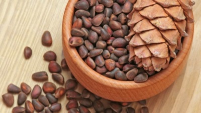  Nutritional value of pine nut infusions