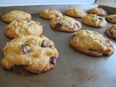  Coconut flour cookies