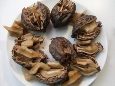  Manchurian walnut is also used for medical purposes.