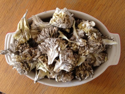  Meytake mushrooms are rich in various beneficial elements.