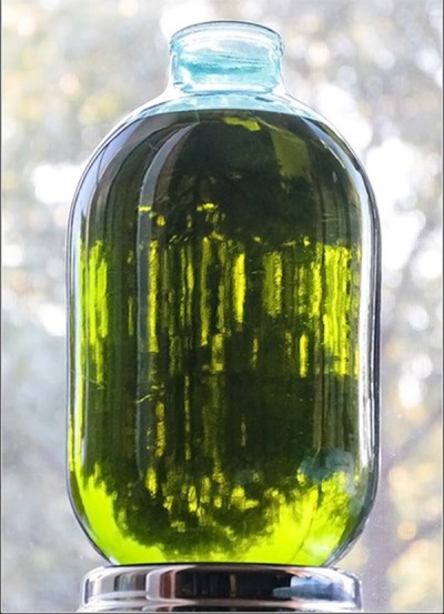  Appearance of tincture