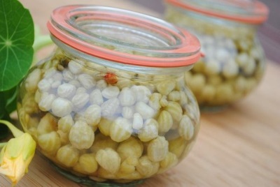  Marinated nasturtium seed pods