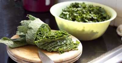  Fresh green comfrey contains many of the elements the body needs.