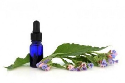  Oil is obtained from comfrey rhizomes