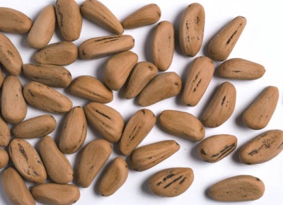  Pini seeds are also used for medicinal purposes.