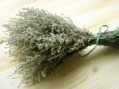  Harm and contraindications of wormwood