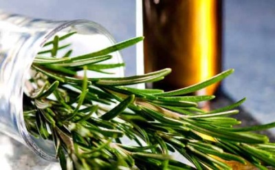  Getting Rosemary Essential Oil