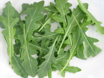  Characteristics of arugula