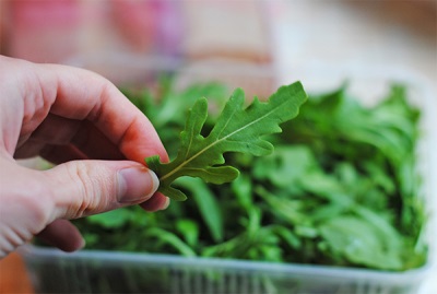  Contraindications and harm arugula