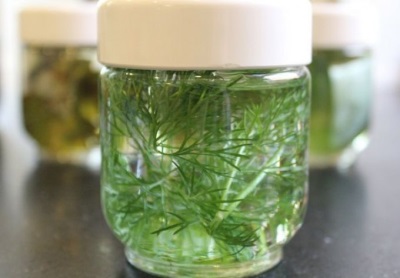  Infusion dill