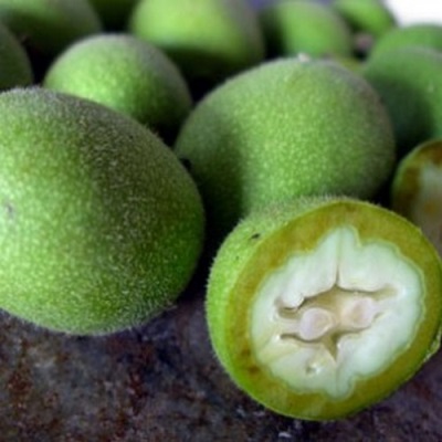  The appearance of green walnut