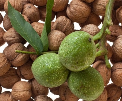  Green walnut is rich in many beneficial vitamins and micro and macronutrients.