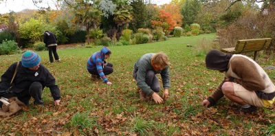  Collecting acorns