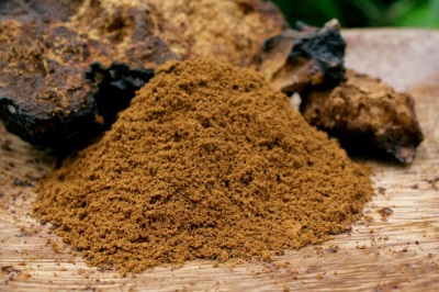  Chaga have many useful properties.