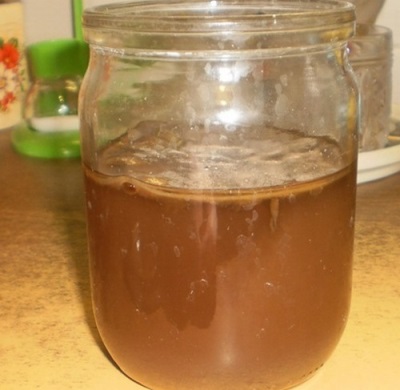  Independent cultivation of Kombucha