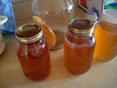  Kombucha drink on herbs