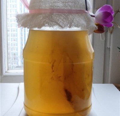  Kombucha infusions are used for medical purposes.