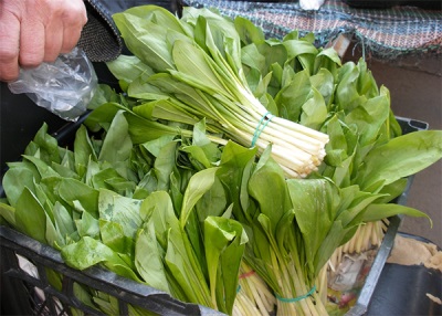  Ramson in traditional medicine