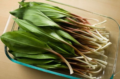  Features of ramson