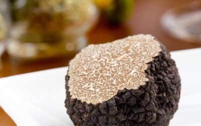  Pulpa cendawan truffle