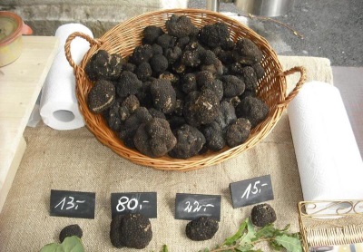  The cost of truffle mushrooms