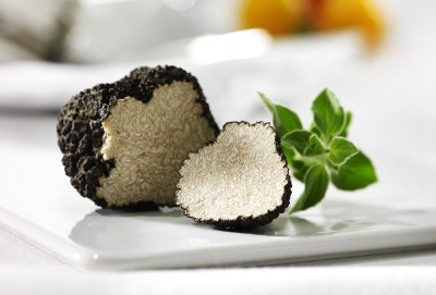  Truffle mempunyai komposisi kimia yang berharga.