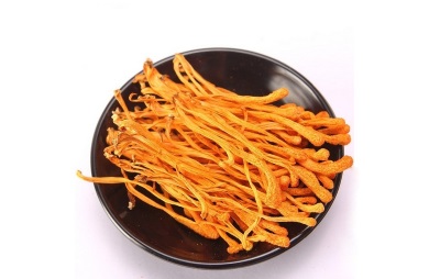  Cordyceps is very valuable for its chemical composition.