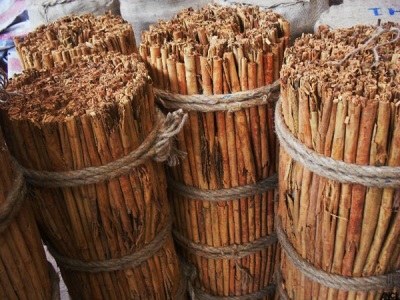  Interesting facts about cinnamon