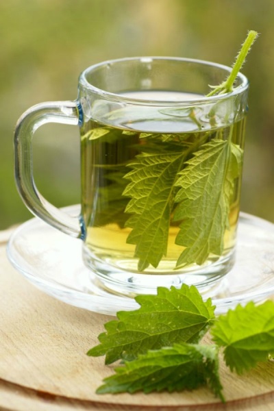  Teas and decoctions with nettle