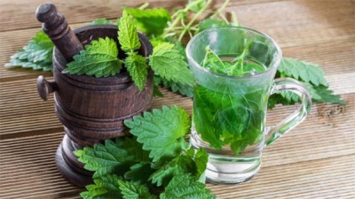  Nettle tea for weight loss