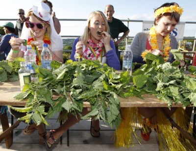  World Nettle Eating Championship