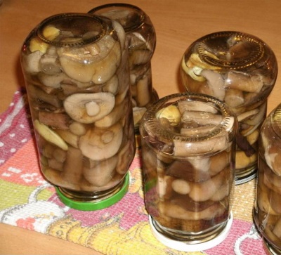  Pickled boletus