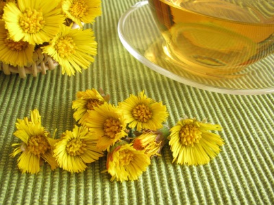  Coltsfoot cough