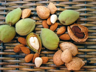  Almond is rich in many vitamins and minerals.