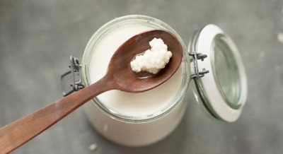  Kefir fungus is widespread