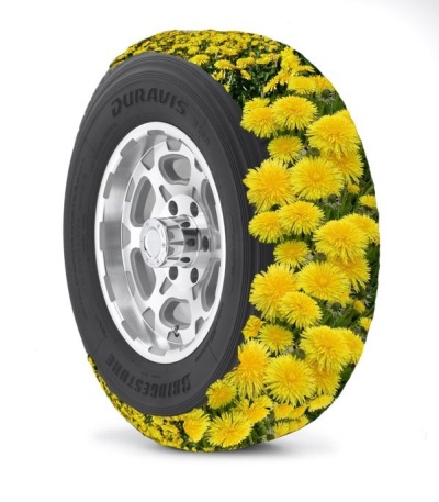  Dandelion Tires