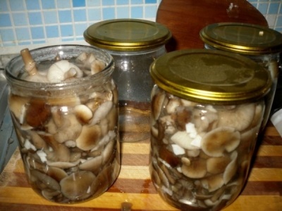  Mushrooms marinated for the winter