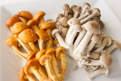  Mushrooms are valuable for their chemical composition