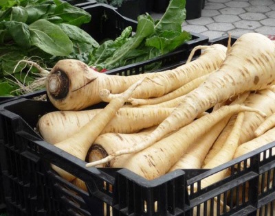  Parsnips features