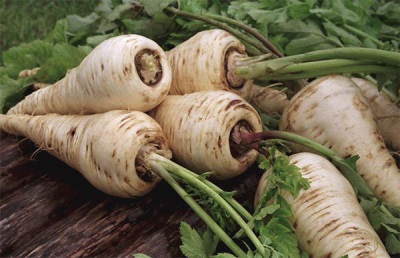  Parsnip Properties