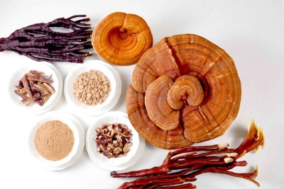  Reishi have many useful properties.