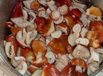  Russula have many beneficial properties for the body.